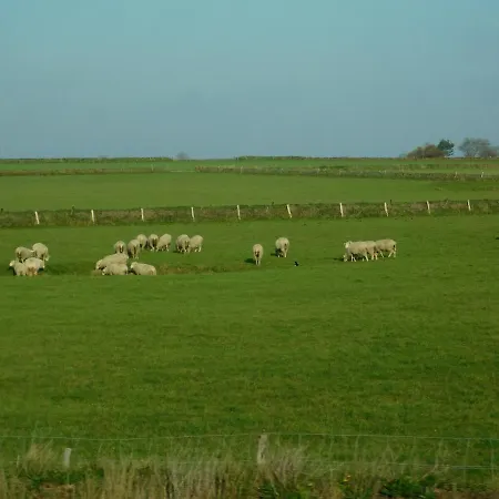 Dunenhaus In Schonster Lage *